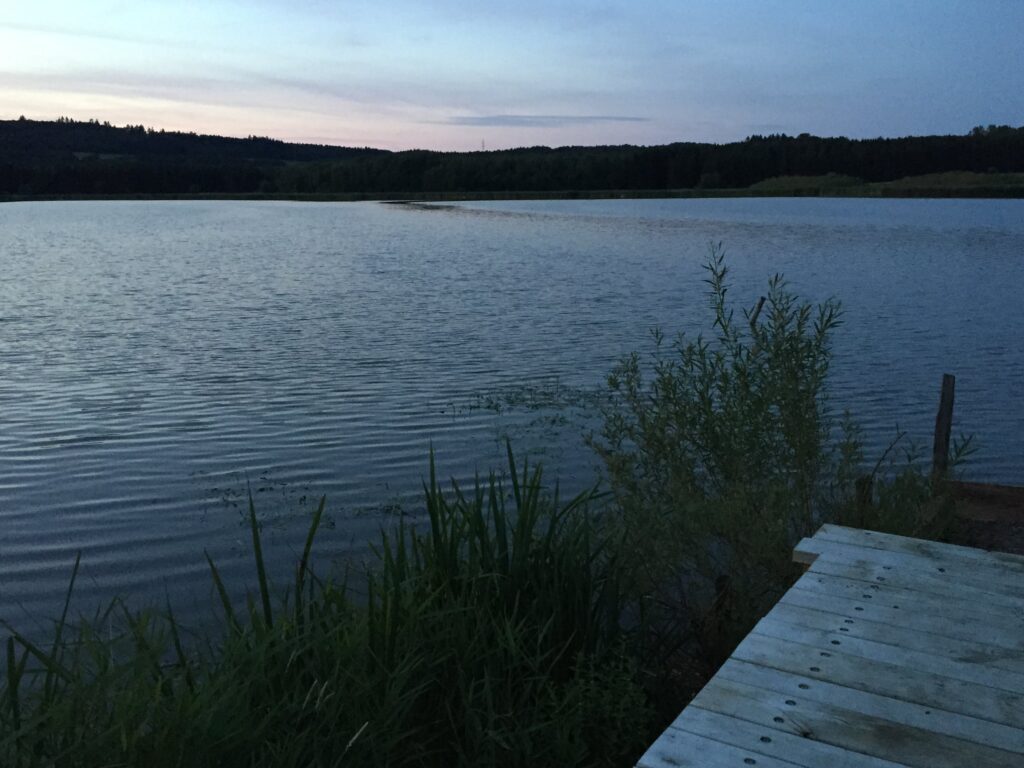 Ulmen, Jungferweiher, Angeln, Vulkaneifel, Eifel